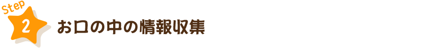 STEP2　お口の中の情報収集