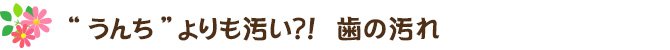 “うんち”よりも汚い？！　歯の汚れ