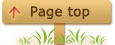 pagetop