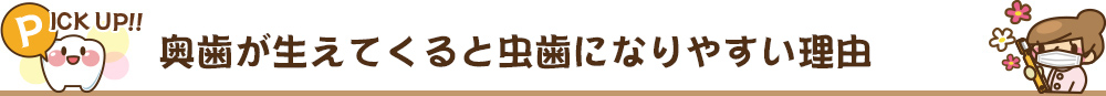 PICK UP　奥歯が生えてくると虫歯になりやすい理由